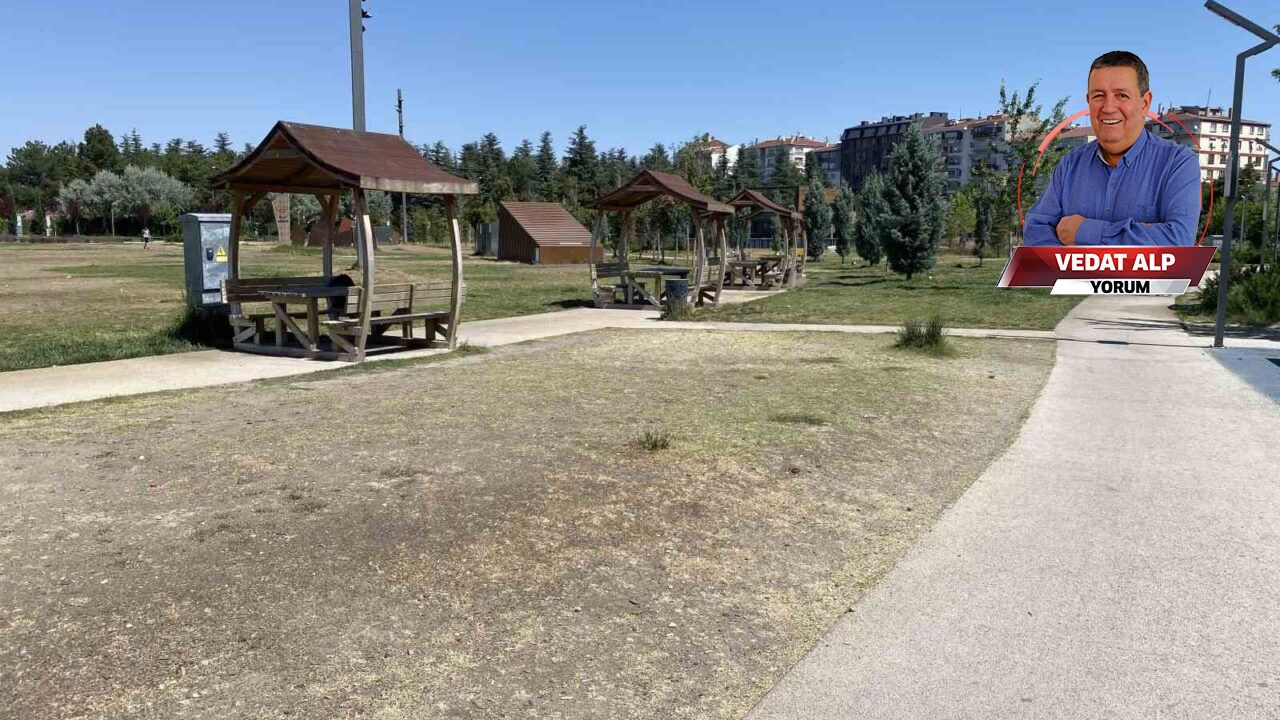 Ortada 3 kötü örnek varken yanlışta ısrar edilmesin