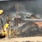 Eskişehir’de alevler çiftliği sardı! 25 küçükbaş hayvan telef oldu