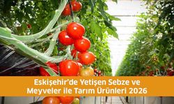 Eskişehir’de Yetişen Sebze ve Meyveler ile Tarım Ürünleri 2026