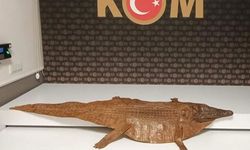 Afyon'da timsah derisi ele geçirildi