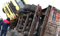 Afyonkarahisar'da balık yemi yüklü tır devrildi