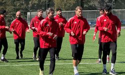 Anadolu SF A.Ş.'de kritik eksikler var