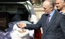 Mihalıççık ve Günyüzü'nde çiftçilere ata tohumu dağıtıldı