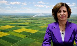 Başkan Ünlüce duyurdu: Alpu Ovası için karar verildi