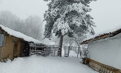 Bilecik'te kar yağışı adeta kartpostallık görüntü yarattı