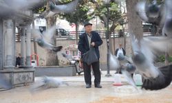 Bilecik'te meydan bayramda kuşlara kaldı