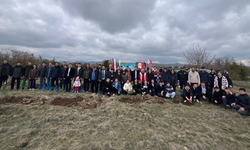 Diközü Bal Ormanları’na 100 fidan dikildi