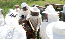 Eskişehir'de Arıköy Projesi eğitimleri başladı