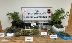 Eskişehir'de zehir tacirlerine geçit yok: 1 tutuklama