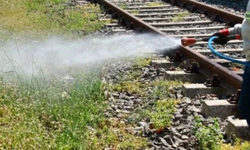 TCDDY ilaçlama çalışmaları hakkında uyarılarda bulundu