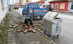 İnönü ekiplerinden çevreye yeni düzenleme