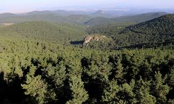 Karar Resmi Gazete'de yayınlandı: Eskişehir de etkilenecek