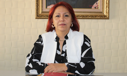 "Mühendisler bürolarını kapatmak zorunda kalıyor"