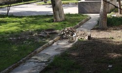 Eskişehir'de okul bahçesinde tepki çeken manzara