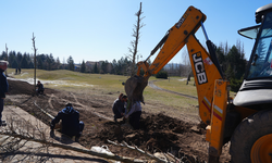 Sazova'da ağaçlandırma çalışması yapıldı