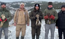 Eskişehir Hayvanat Bahçesi'nde yırtıcı kuşlar hayata tutundu