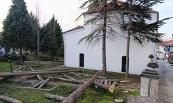 Eskişehir'de cami bahçesinde bulunan 25 ağaç neden kesildi?