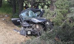 Kontrolden çıkan araç ağaca çarptı: Emekli polis memuru yaşamını yitirdi