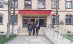 Bilecik'te kablo hırsızlığı: 6 şüpheli gözaltına alındı