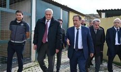 Bozüyük köpek barınağında inceleme