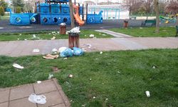 Dede Korkut Parkı'nı bu hale ne getirmiş olabilir?