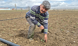 Eskişehir'de 2026 yılının ilk fideleri toprakla buluştu