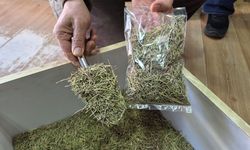 Eskişehir'de aktar esnafından öğrencilere altın tavsiyeler