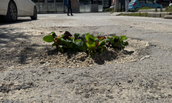 Eskişehir'de bozuk yola çiçekli tepki!