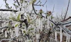 Eskişehir’de çiftçilere uyarı: Zirai don olabilir