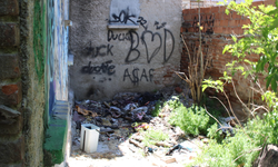 Eskişehir’de çirkin görüntü tepki çekiyor