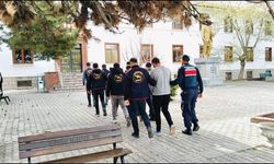 Eskişehir'de çobana kirli oyun: 36 büyükbaş hayvanı çaldılar