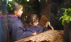 Eskişehir'de çocuklar unutulmaz deneyimler yaşadı