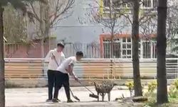 Eskişehir’de ders saatinde çocuklara bahçe temizliği iddiası