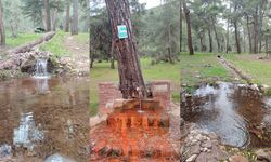 Eskişehir’de doğal maden suyu çeşmesine yoğun ilgi