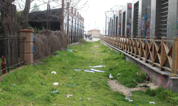 Eskişehir’de Hat Boyu bakımsızlığı ile tepki topluyor