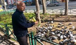 Eskişehir'de her gün onlarca güvercinin karnını doyuruyor