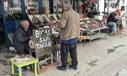 Eskişehir'de Kurban Bayramı hazırlıkları başladı