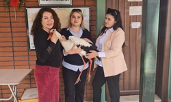 Eskişehir'de leyleğin imdadına hayvanseverler yetişti