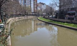 Eskişehir'de Porsuk Çayı renk değiştirdi