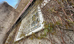 Eskişehir'de "Sarmaşık Camii" yeniden yeşeriyor