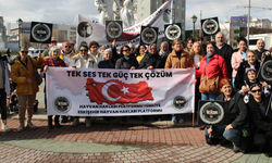 “Eskişehir’de toplanan sokak hayvanlarının akıbeti belli değil”