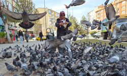 Eskişehir'de yaşlı kadının hayvan sevgisi iç ısıttı