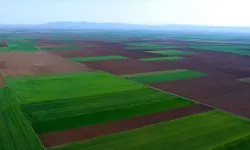 Eskişehir’in tarım arazileri: Veriler bize neyi söylüyor?