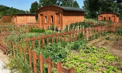 Hobi bahçelerinde kriz sürüyor: Bahçe sahipleri tepkili