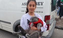 Kedisiyle Eskişehir'e gelen minik taraftar Bursaspor'un maçında