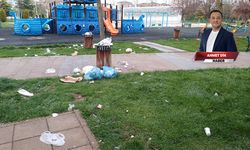 Dede Korkut Parkı'nı bu hale ne getirmiş olabilir?