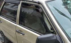 Park halindeki araçta ölü bulundu