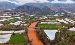 Sakarya Nehri'nin rengi değişti
