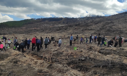 Seyitgazi’de çocuklar yanan ormana fidan dikti