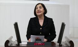 “Doğa rant değil, yaşamdır. Ormanlar şirketlerin değil, halkındır"